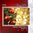 8 CDs - Gemafreie Weihnachtsmusik (instrumental & Gesang) - Lizenz bis 1000m² (inkl. CD+MP3)